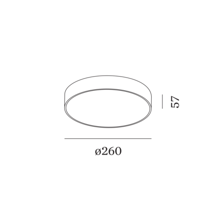 roby ceiling surface 2.6-1~-~page-1.webp